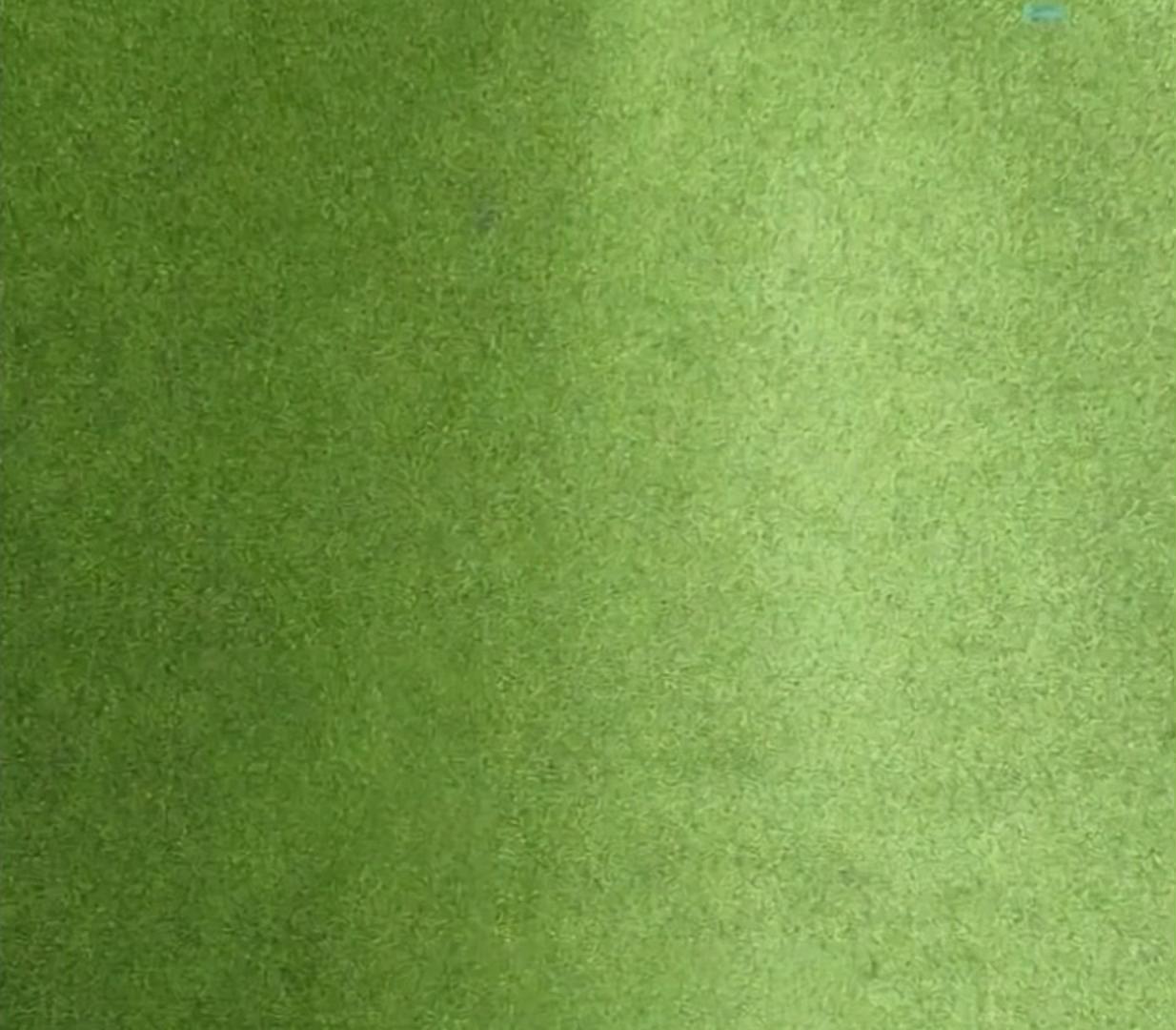 @Dogmula 1