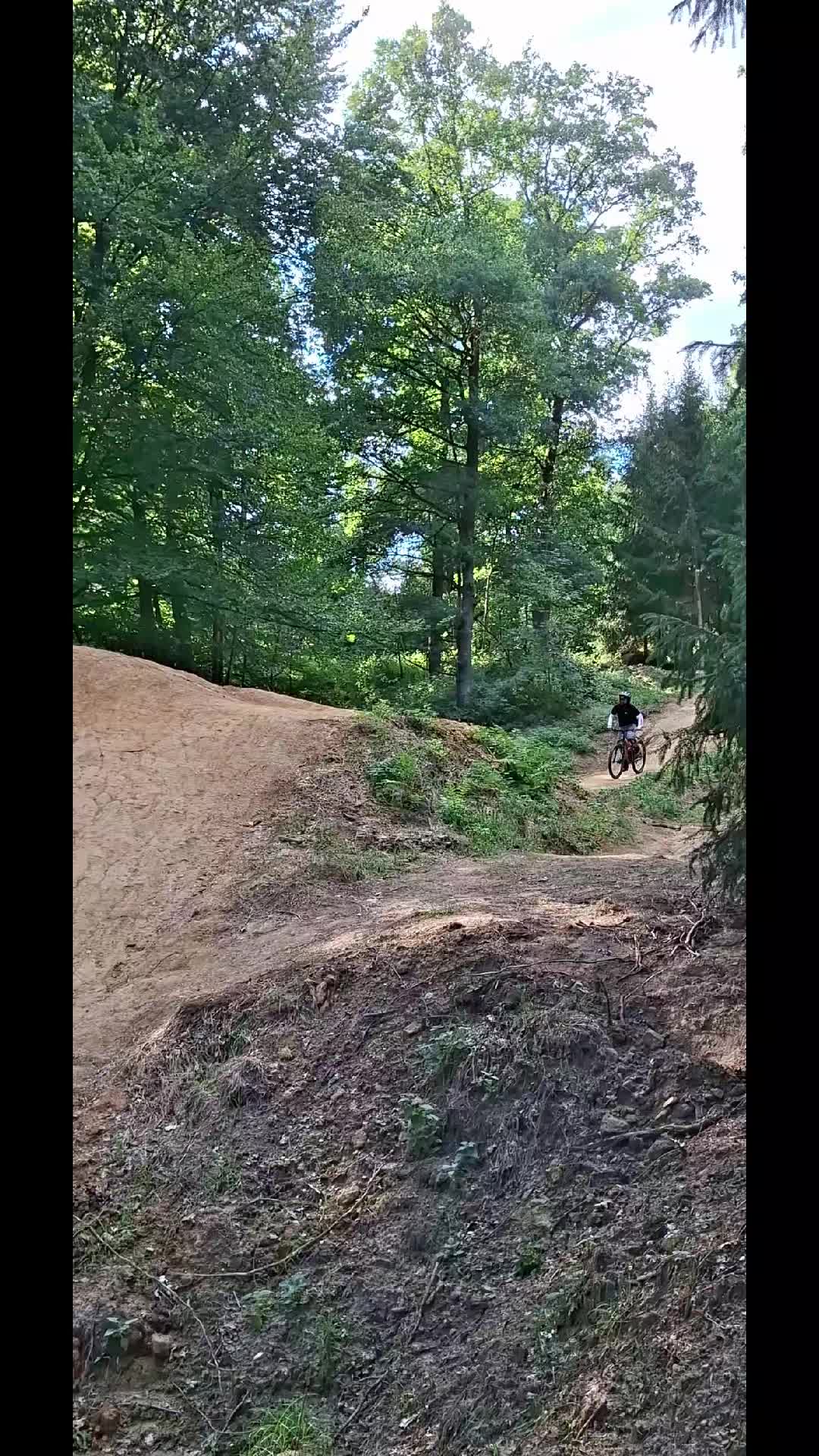 @FREERIDE🎠PAULO