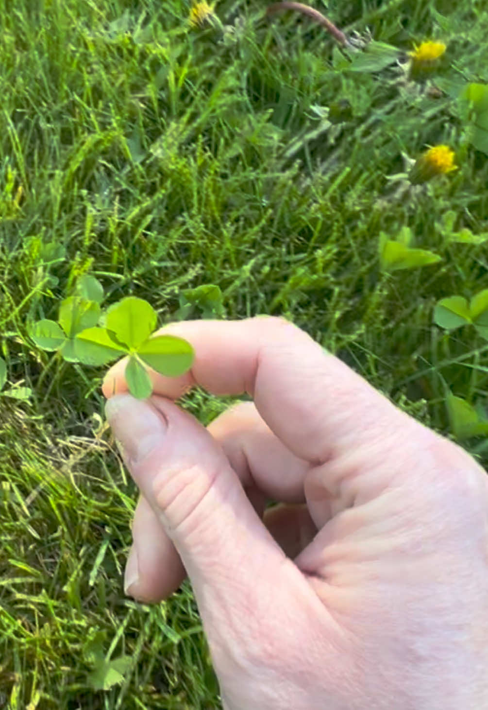 @Britt🍀