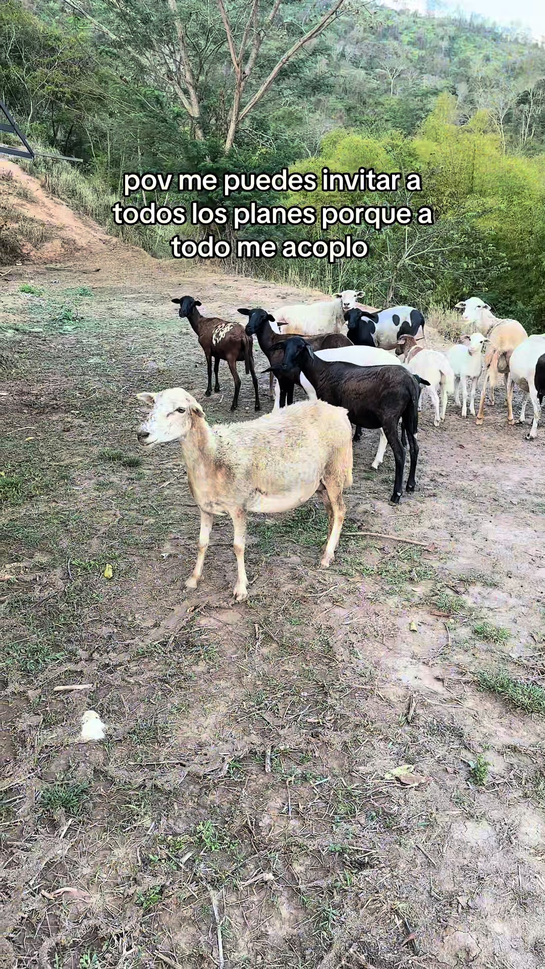 @Marianggela Marin