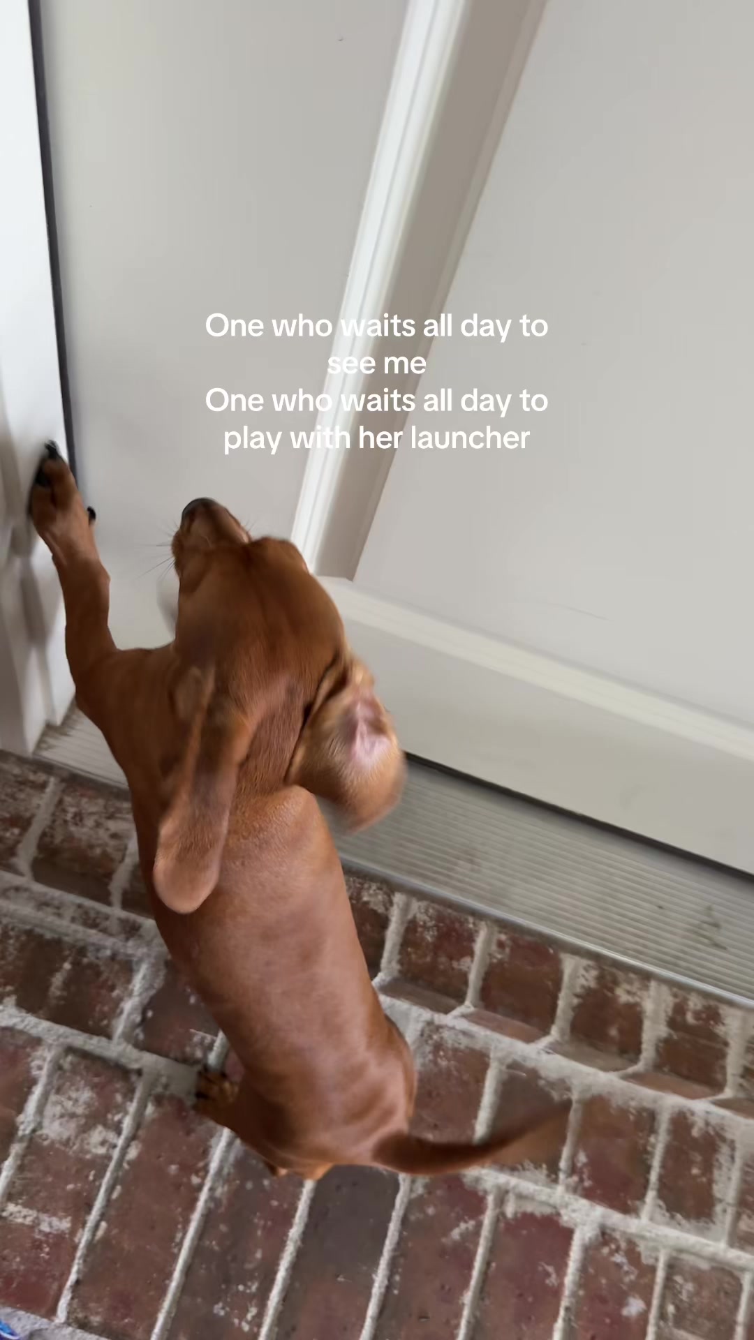 @Hazel & Heidi