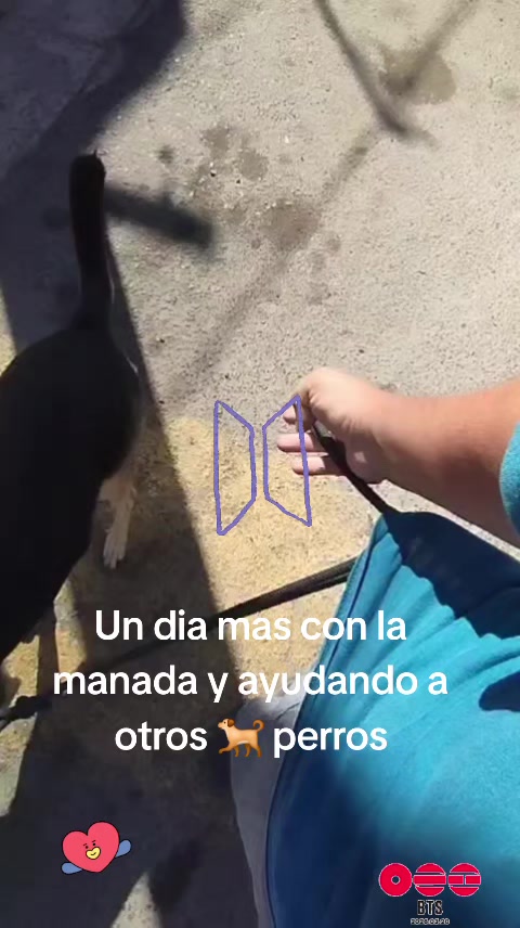 @❤️Ana Mireya Millán