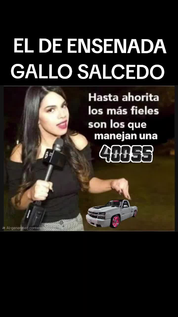 @EL Gallo Salcedo🇲🇽