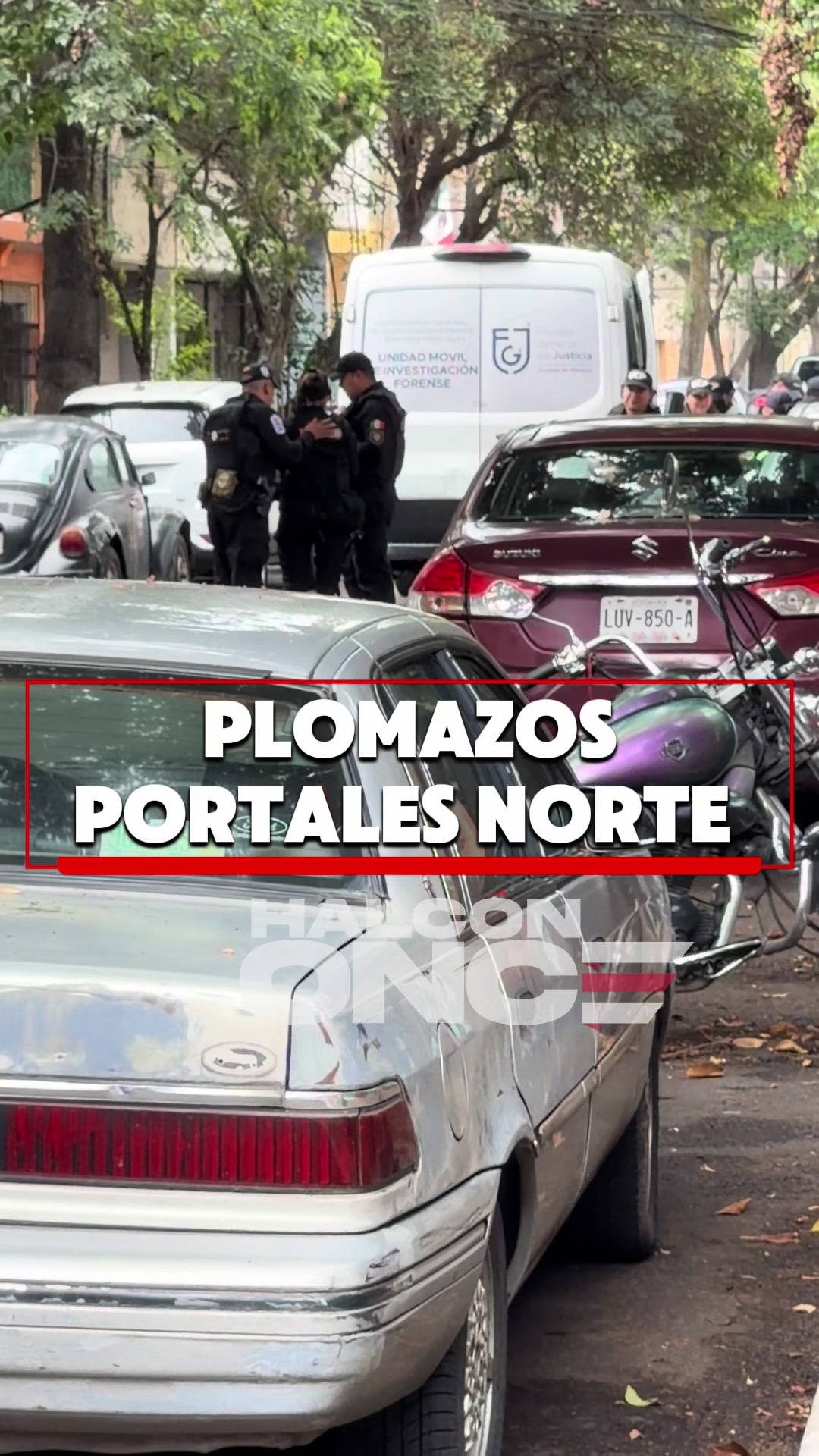 @HalconOnce