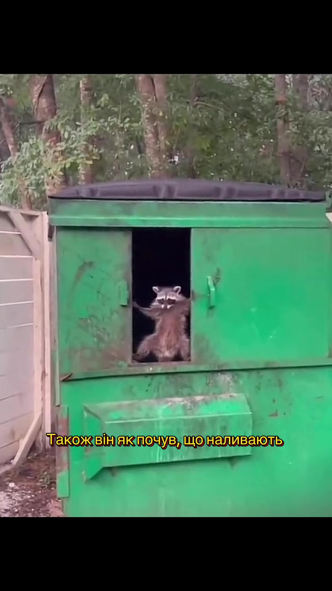 @Баняки