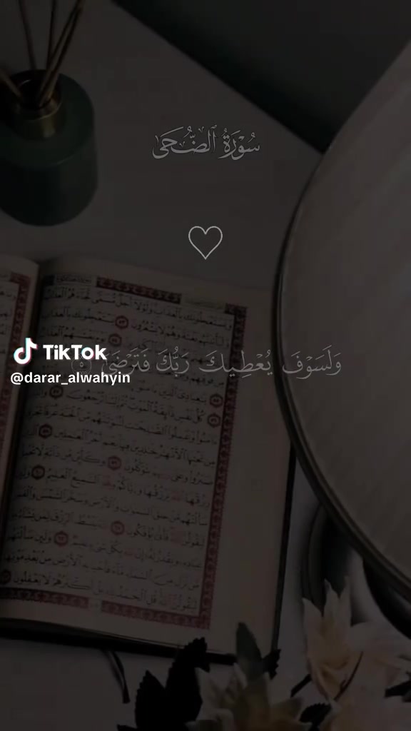 @نوكتك ستريم سنايب