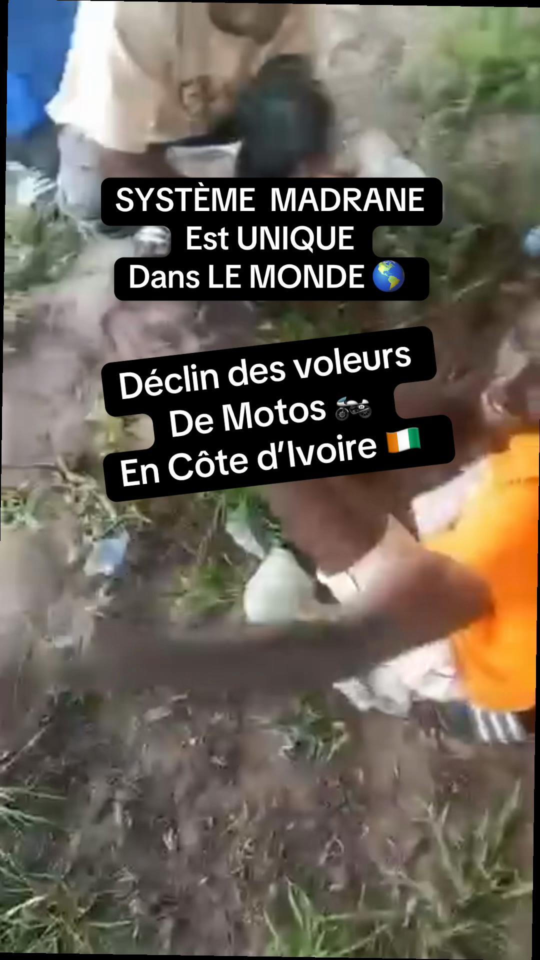 @Chipion_SOS ( Le Chevalier)
