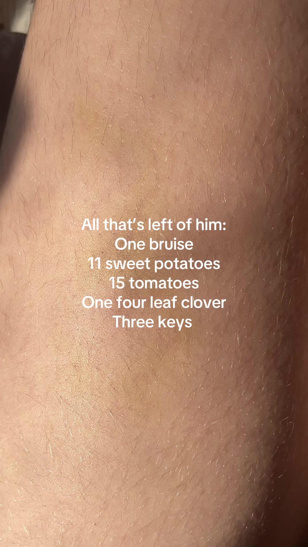 @wingeddmelody