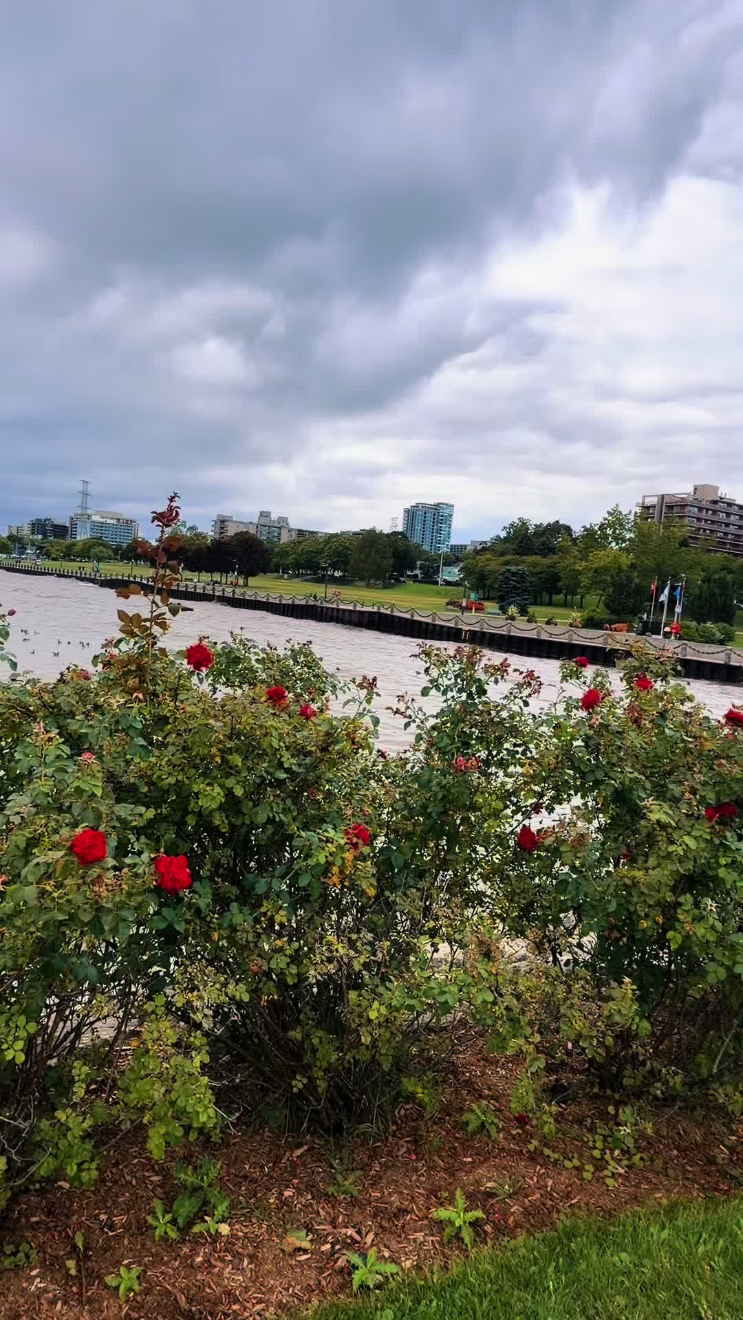 @💞MAHI💞