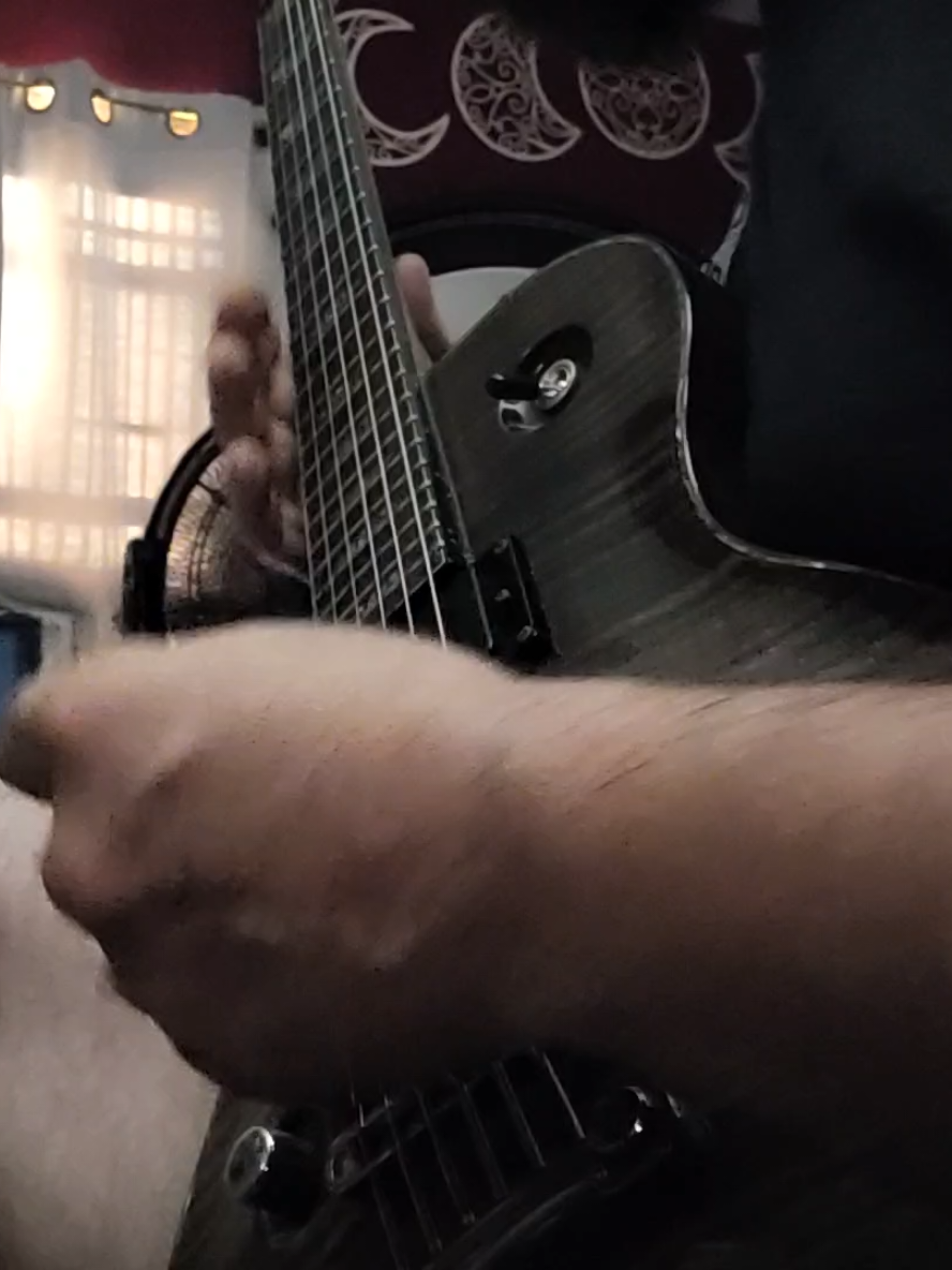 @TreeMonkeyGuitarist