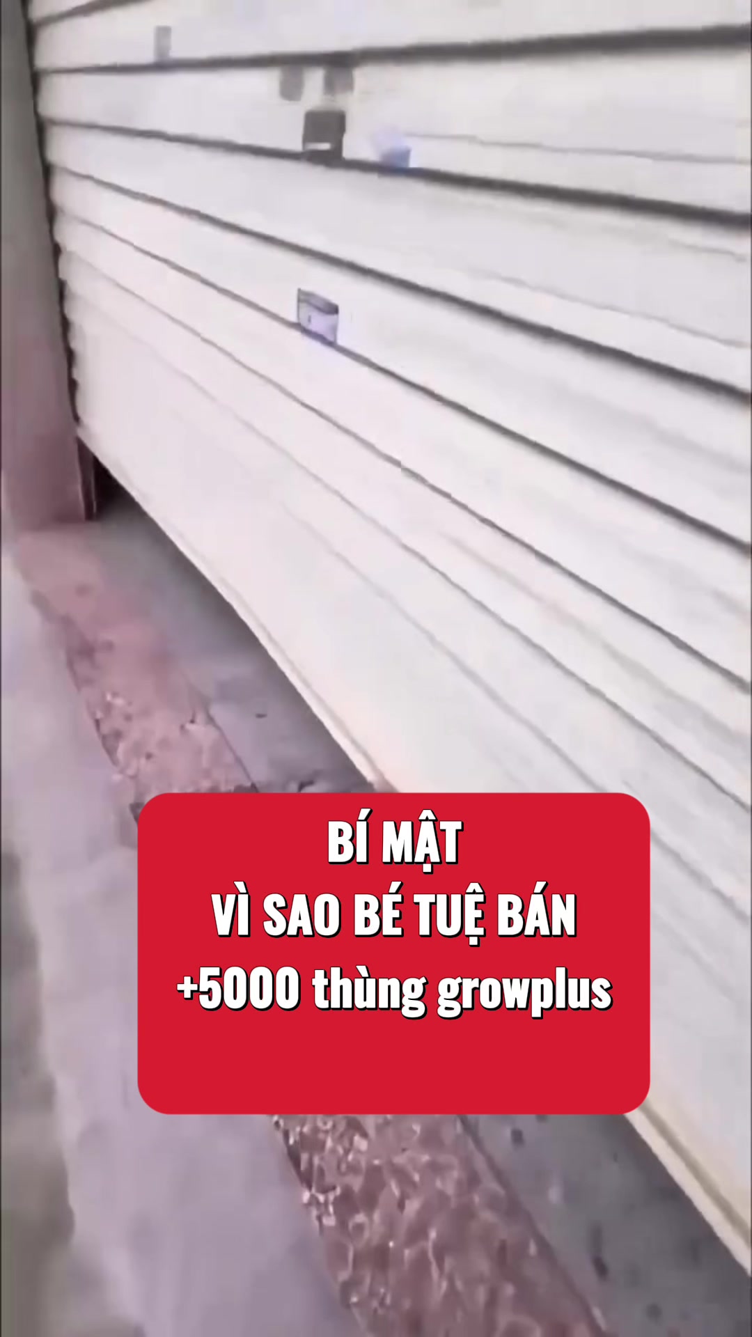 @Shop Bé Tuệ