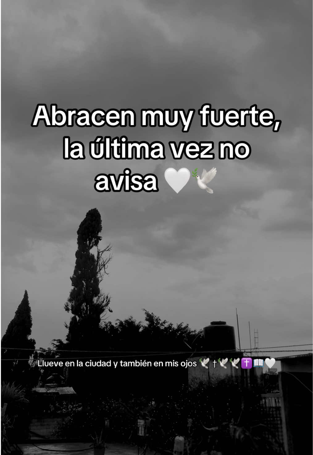 @soy Adry ❤️🩹