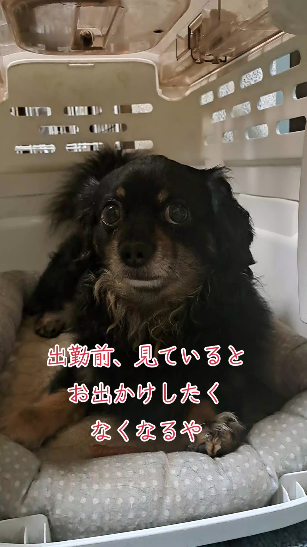 @タケヤッコ