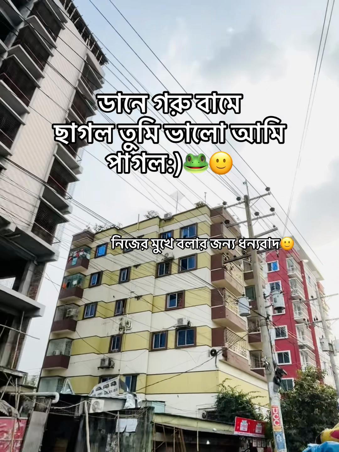 @টিক -টিকি