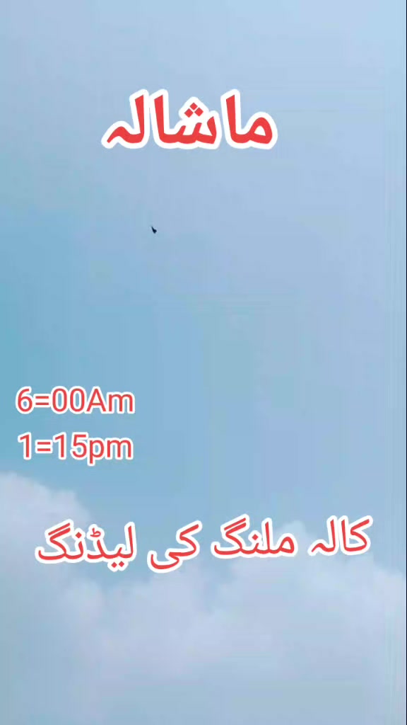 @absar Jani
