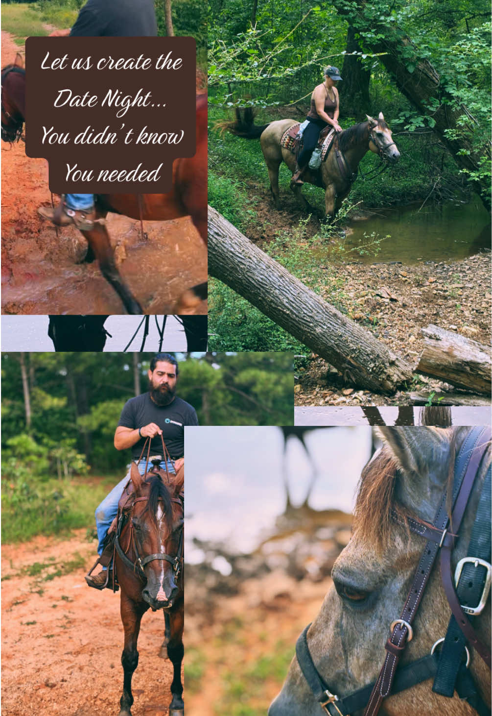 @Rogue Reins