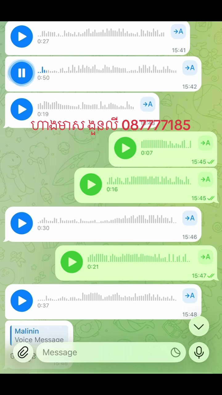 @លីនីន ហាងមាស ងួនលី