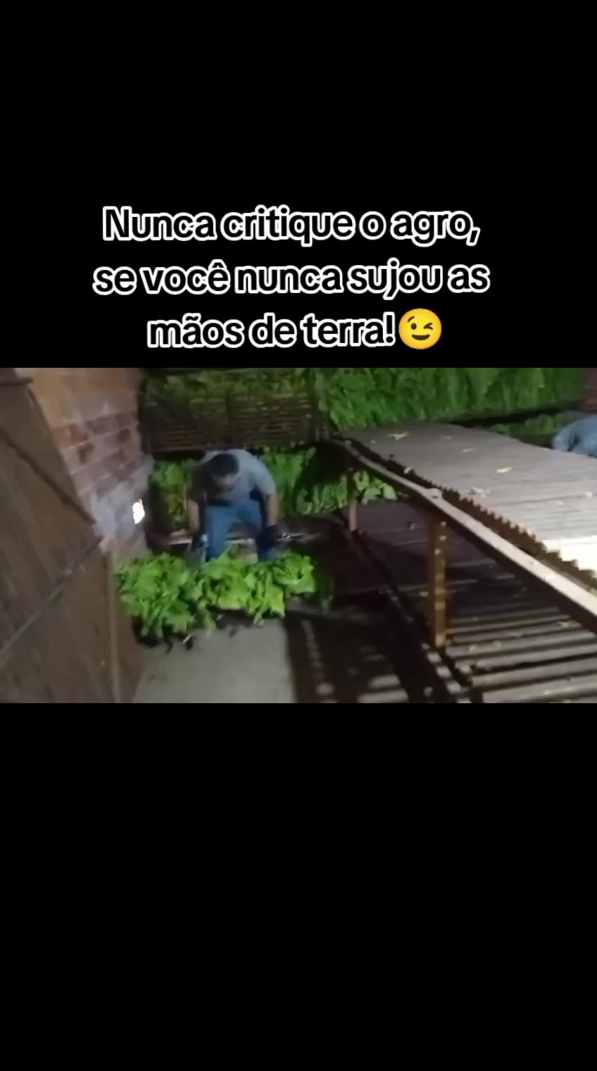 @Familia_Santos_fumicultores🌱
