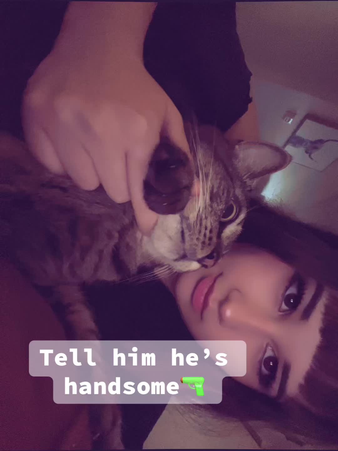 @🍫