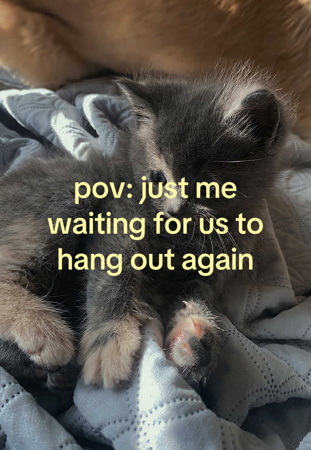 @caughtafeeling
