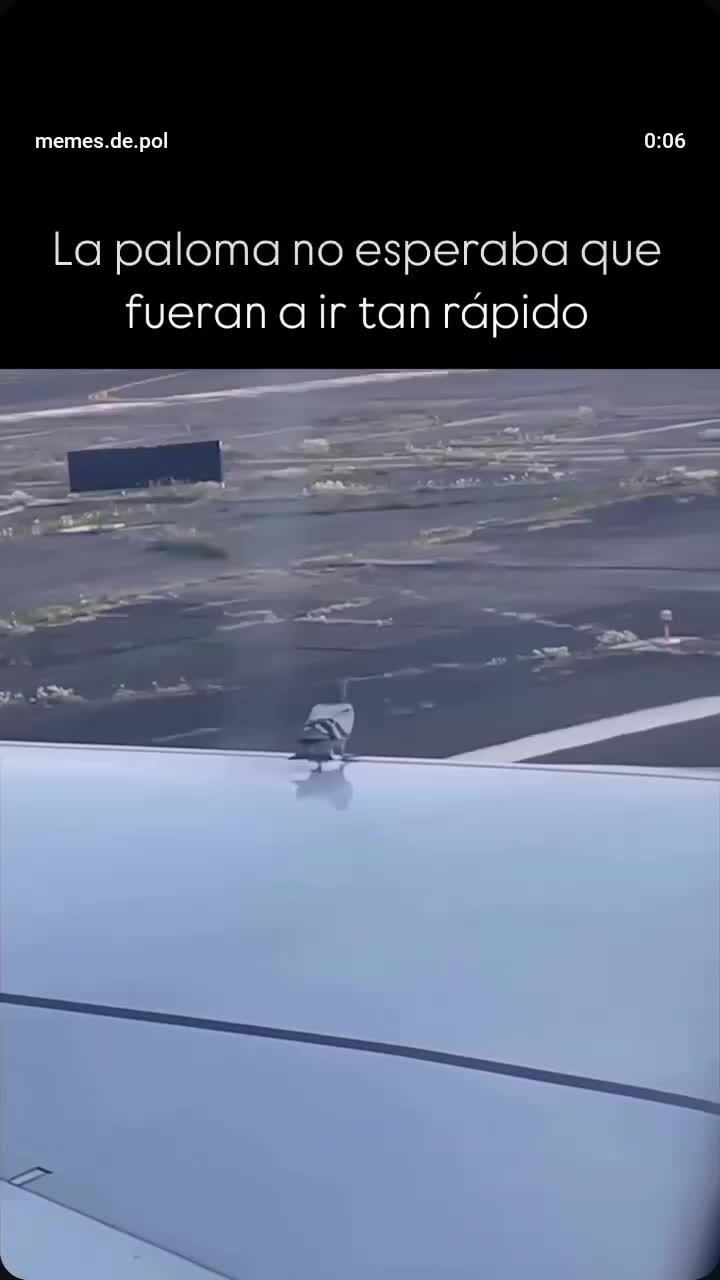 @𝐋𝐚𝐮𝐫𝐚 𝐀𝐫𝐯𝐢𝐳𝐮