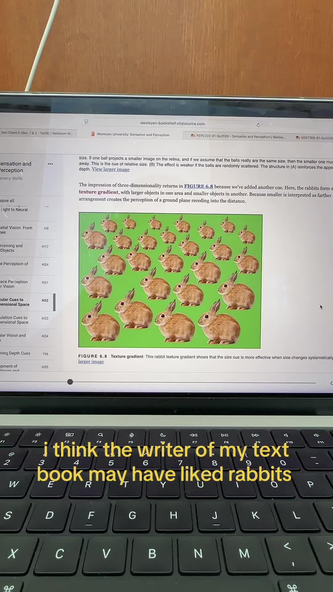 @lorrie🪸