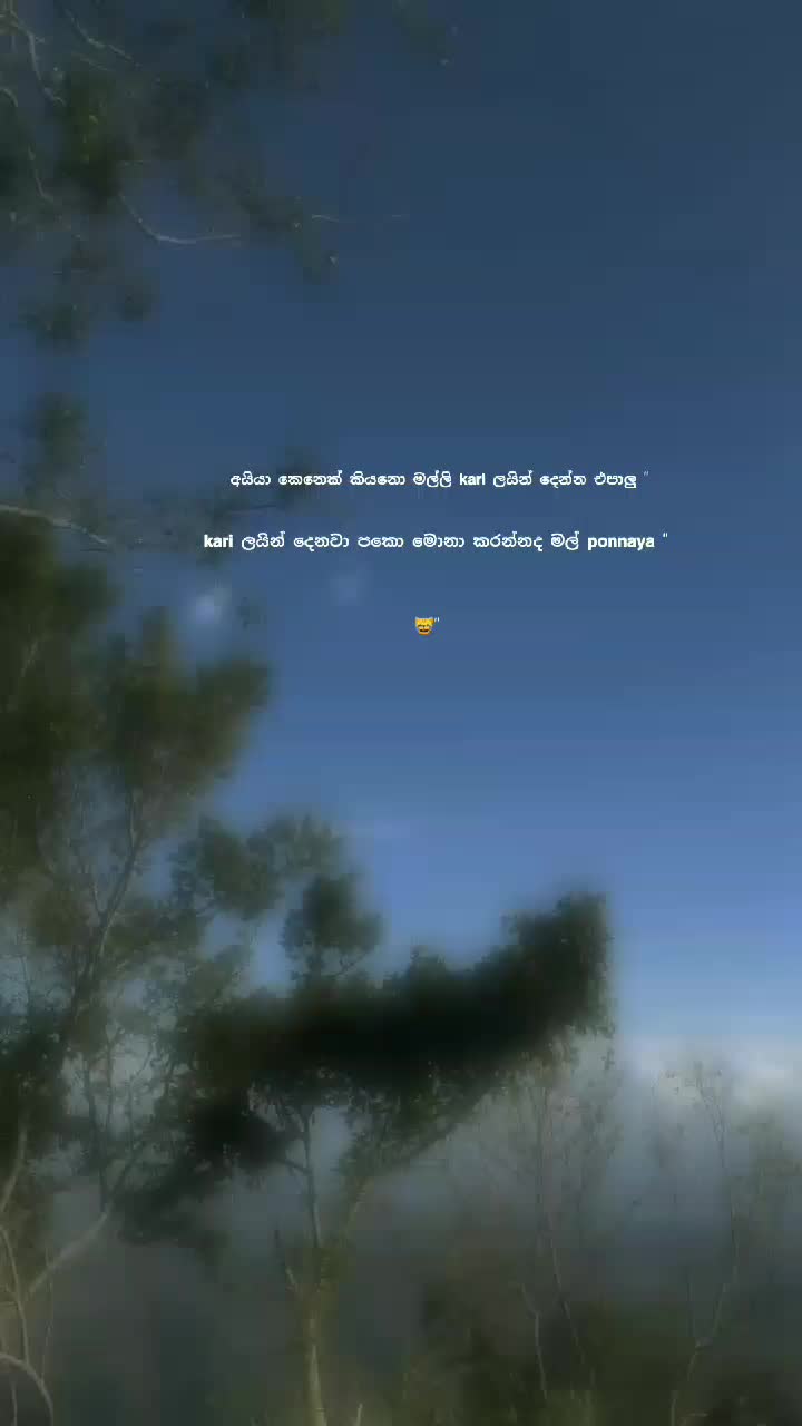 @โฏ๐ฐ ๐ฟ ๐พ ๐พ ๐ ๐ ๐ฐเทดใ