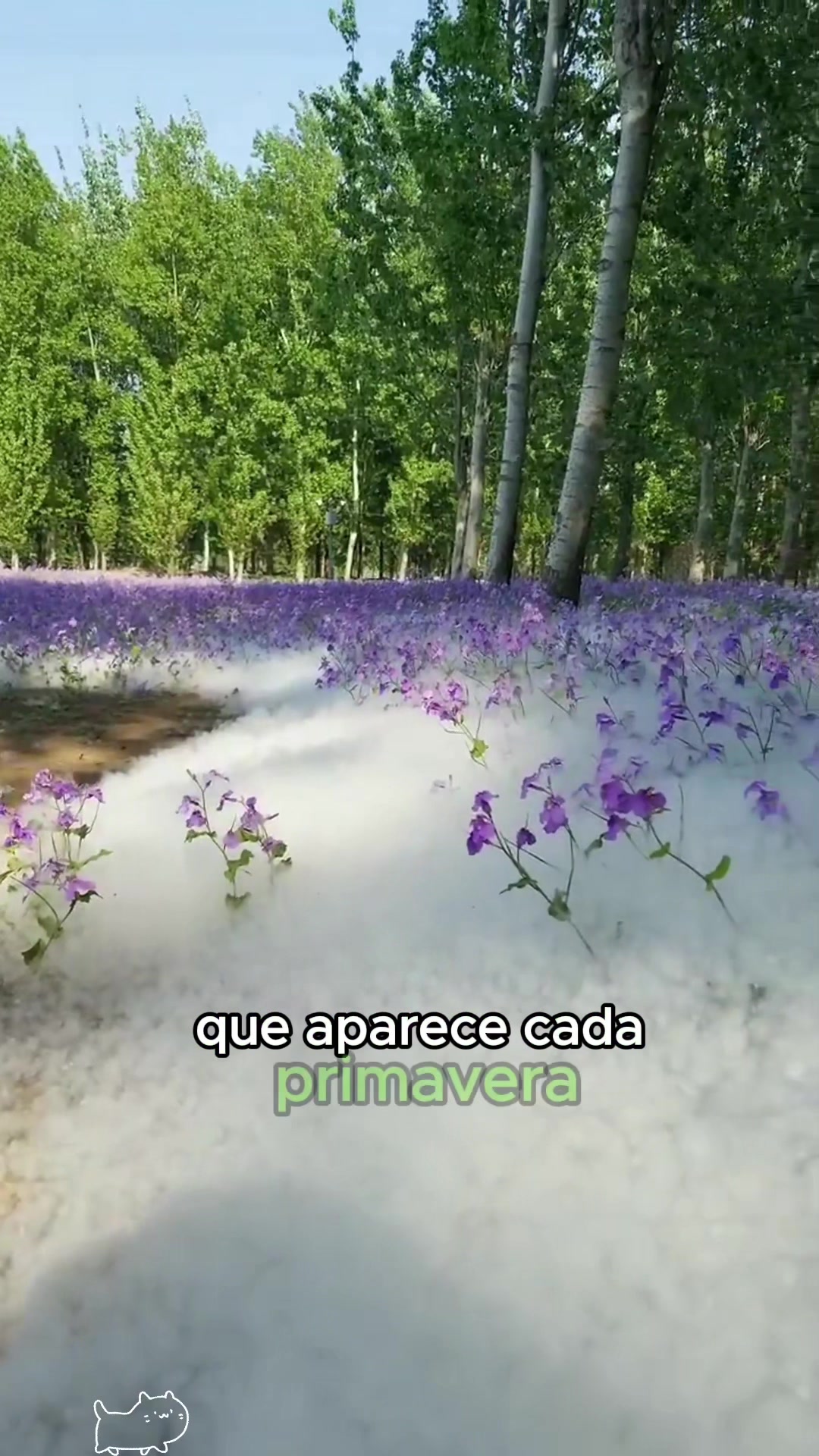 @Zootopia 111