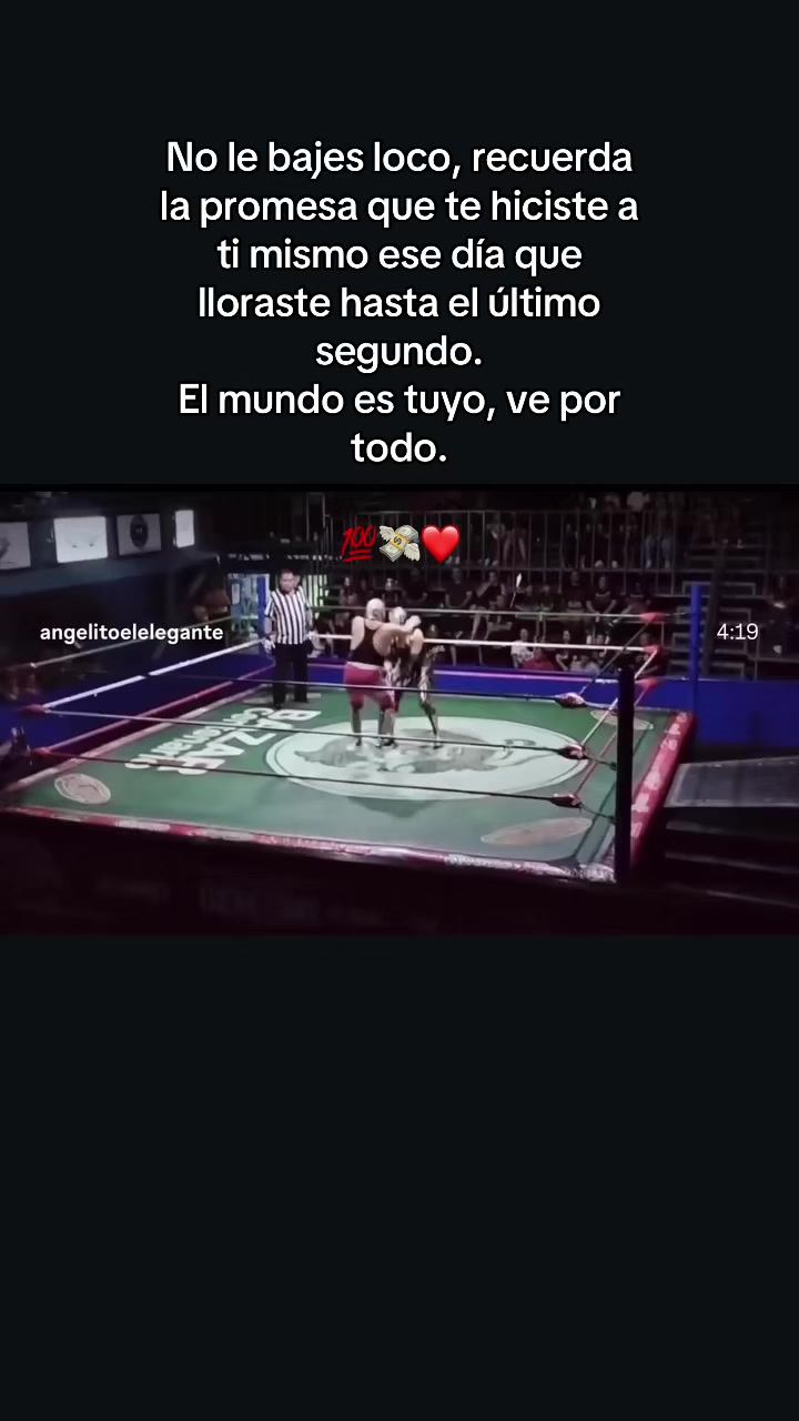 @Guerrero Dragon
