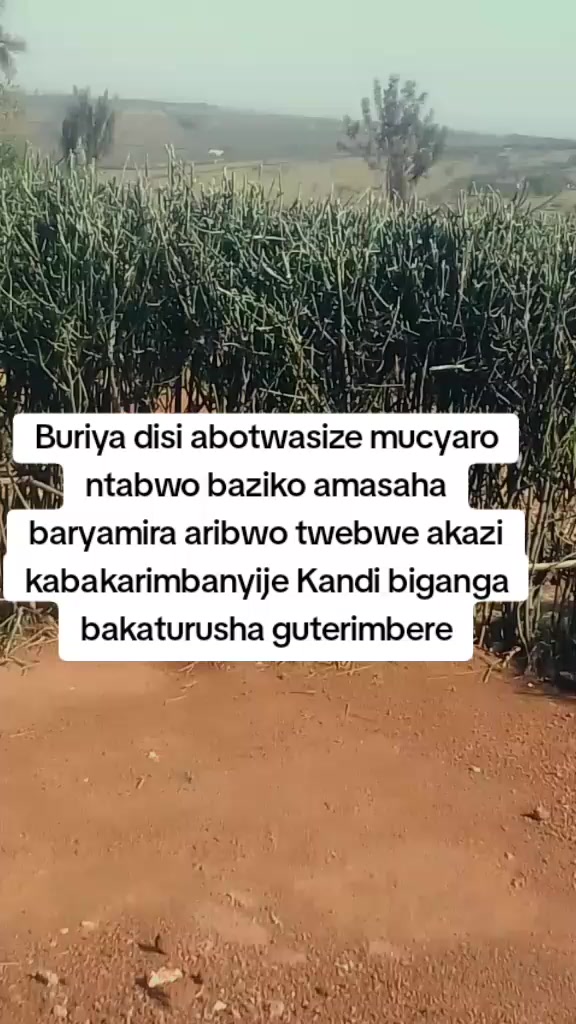 @POVERTY_💔