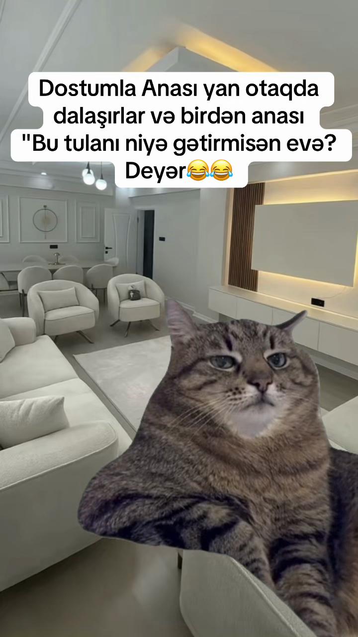 @♈️