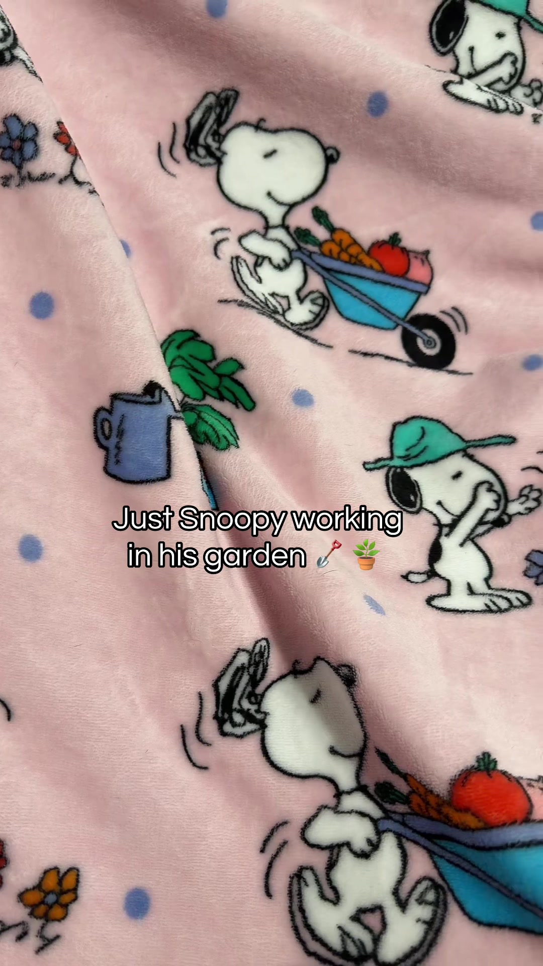 @Debbie 🐝