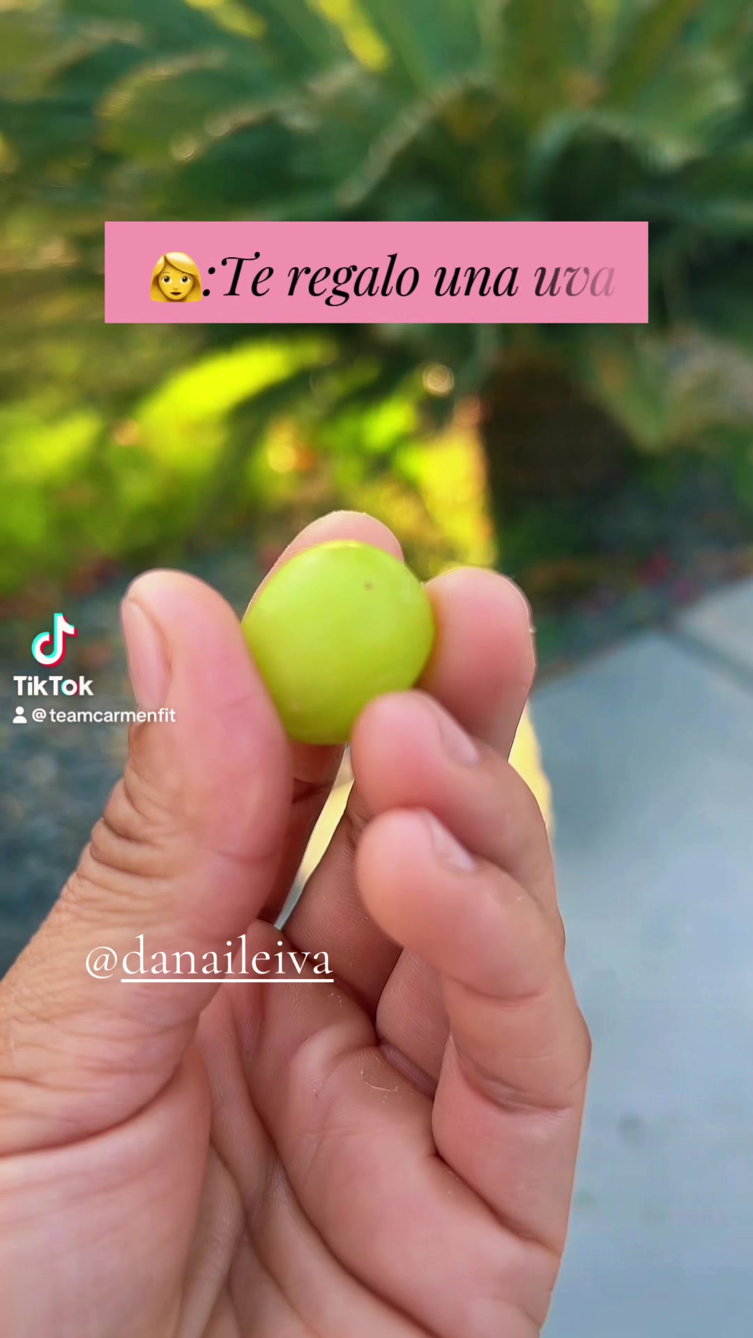 @Teamcarmenfit