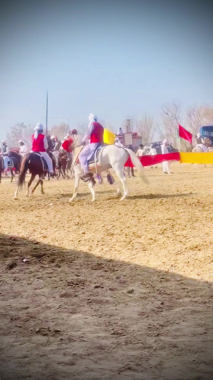 @🦅Ch-Asjad-Ali-Saidagoll🐎
