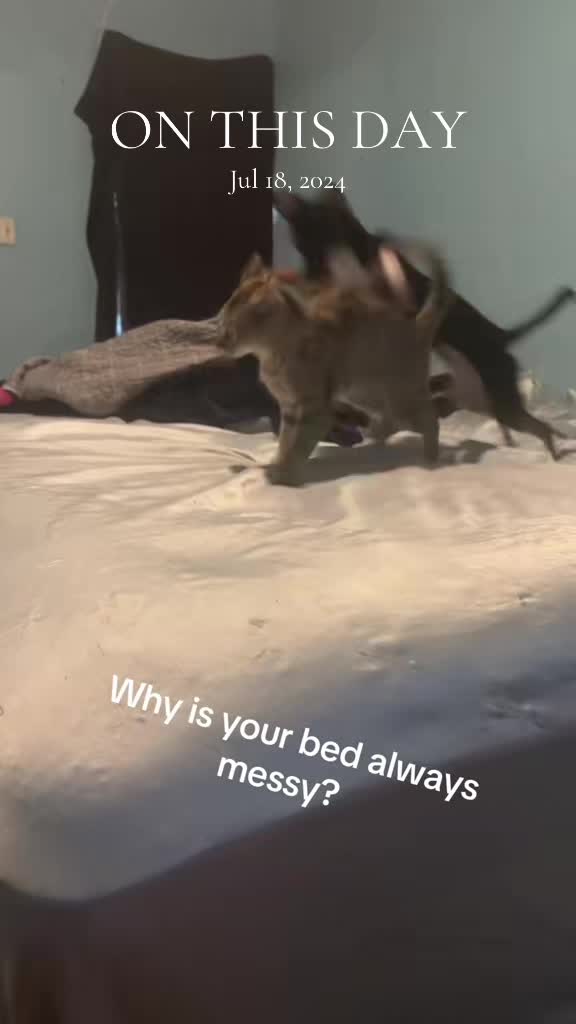 @Kayla Perez