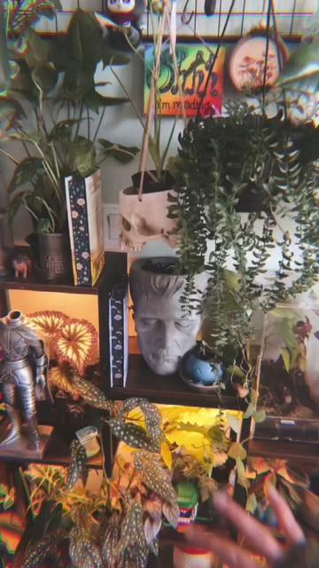 @🗡️🌿📚Tex📚🌿🗡️