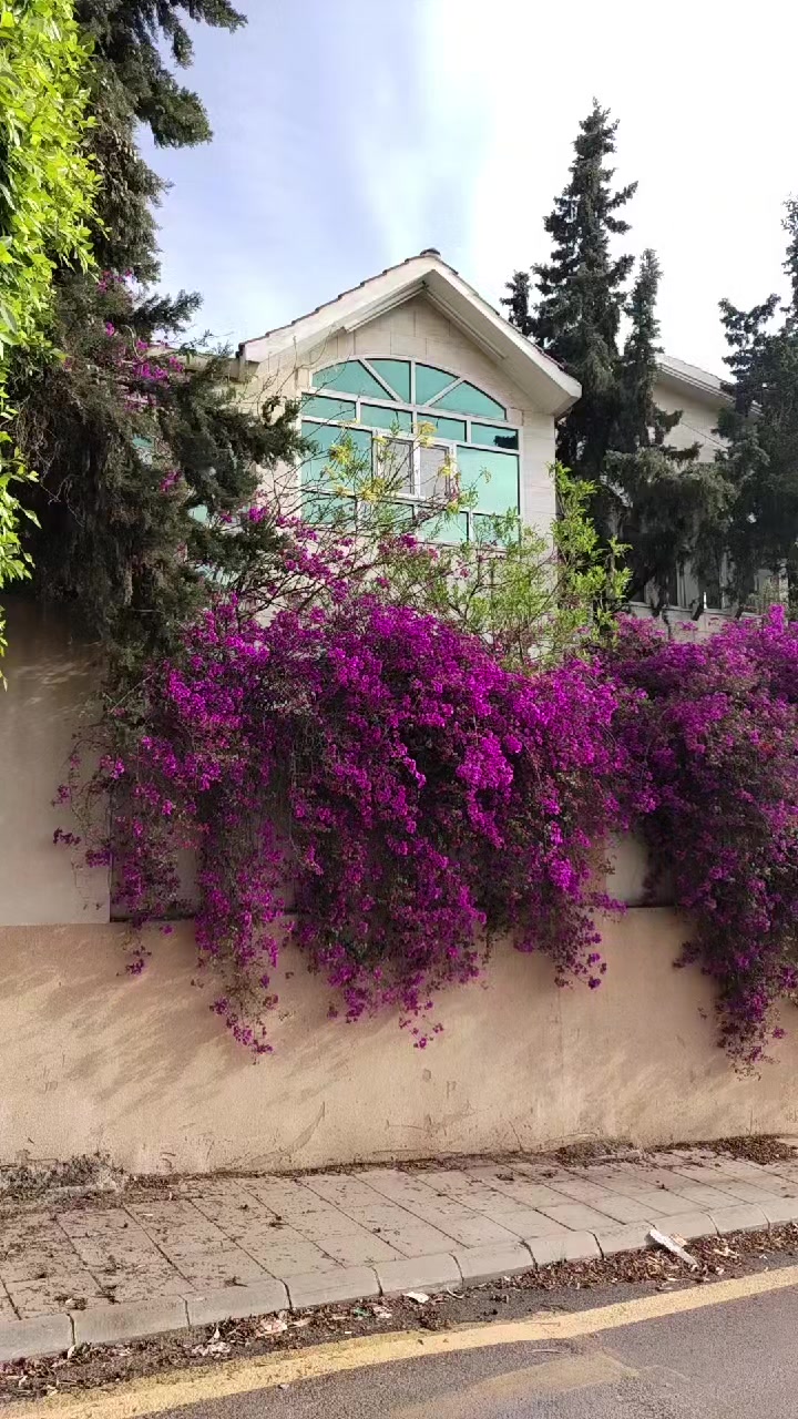 @أجمل شاه | الحياة في الباحة