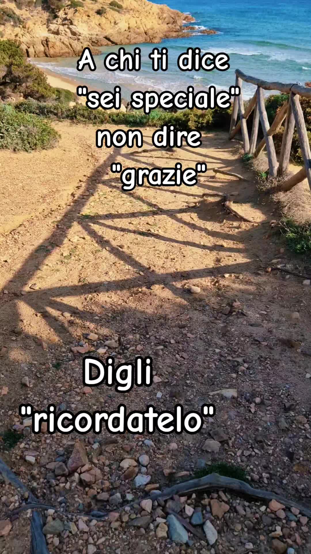 @Silvietta80🩷