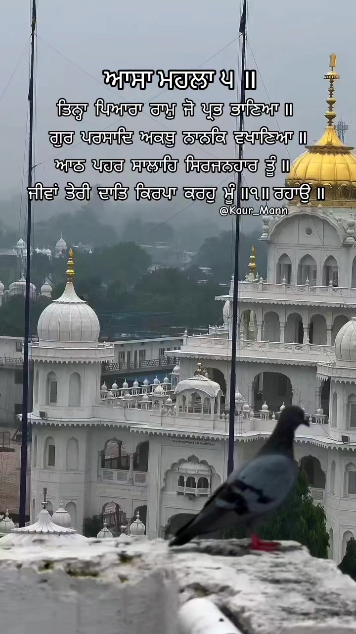@𝕂𝕒𝕦𝕣 𝕞𝕒𝕟𝕟1313