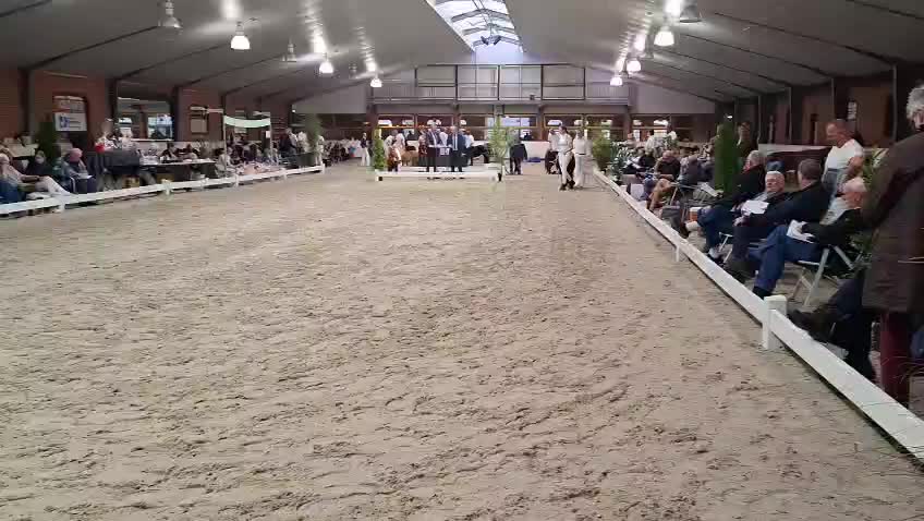 @the fanny's ranch (nsps)