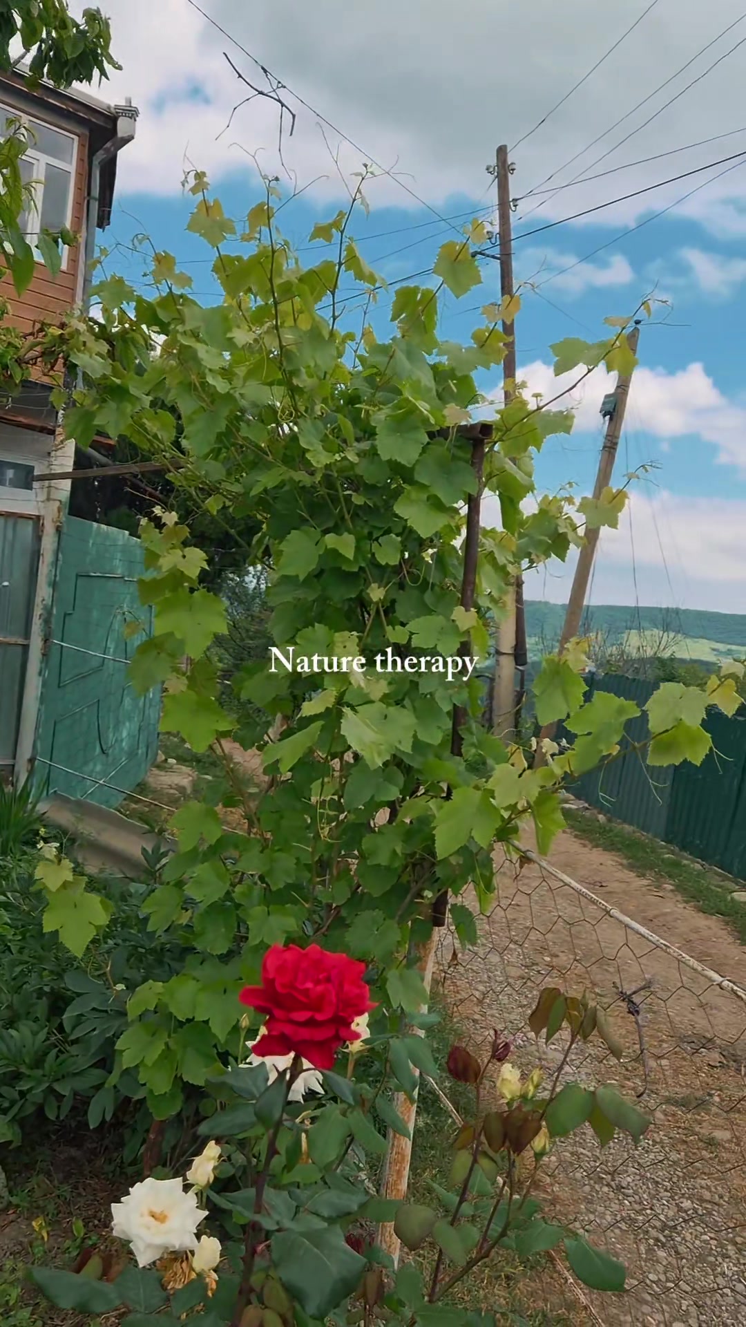 @tiktok