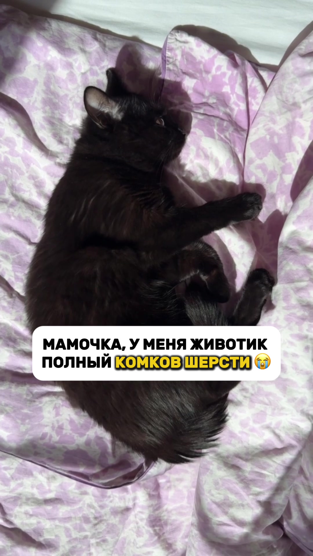 @daria_mikki