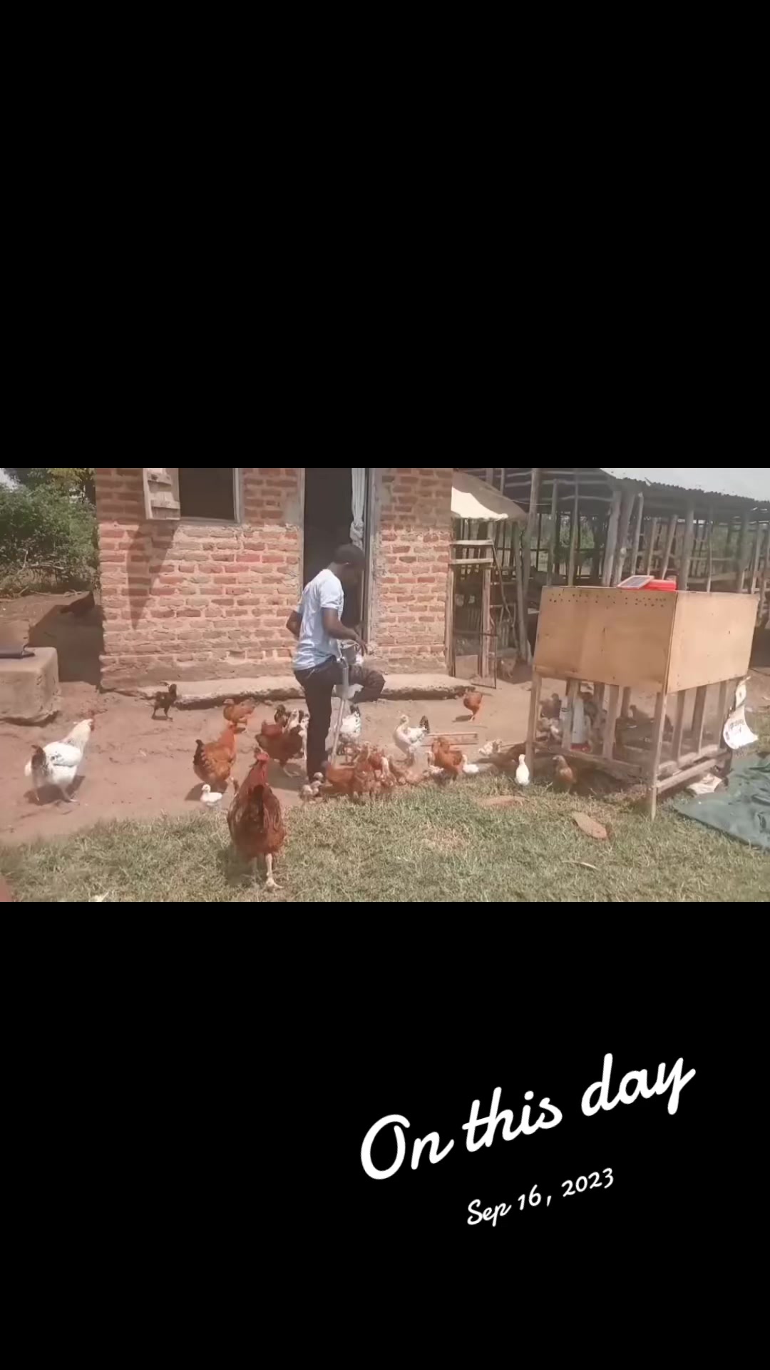 @mzee chicks ug