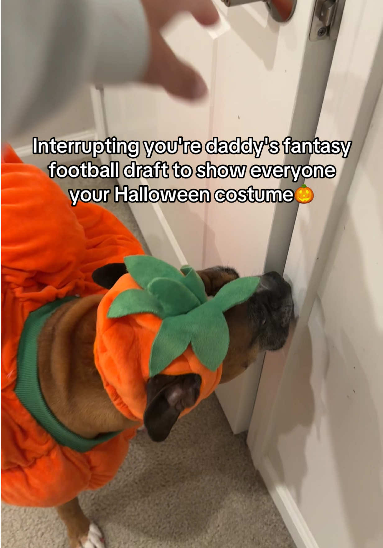 @Princess Poppy