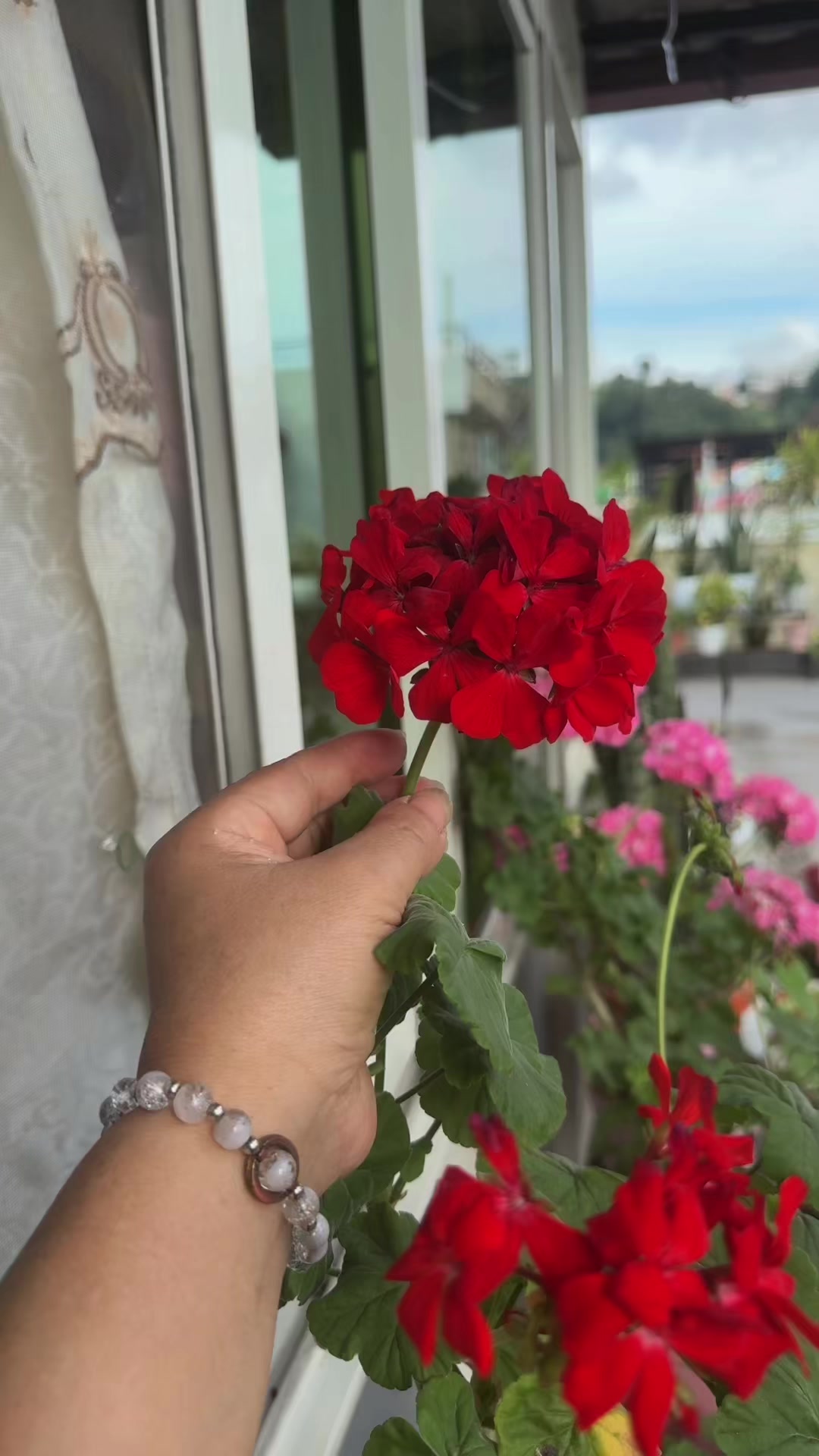 @भुमिका राई❤️❤️