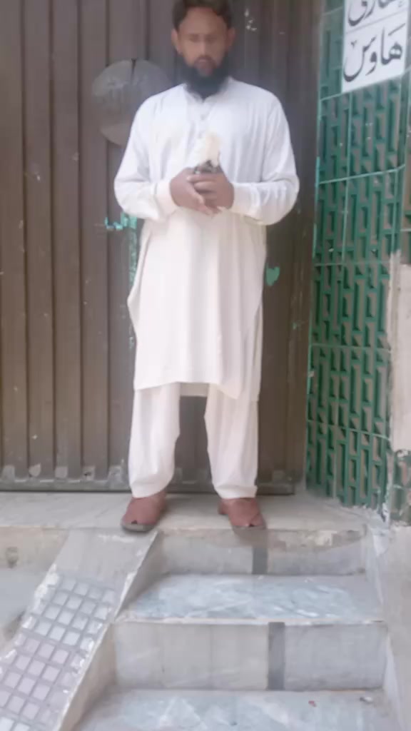 @Ali Abbas Qureshi