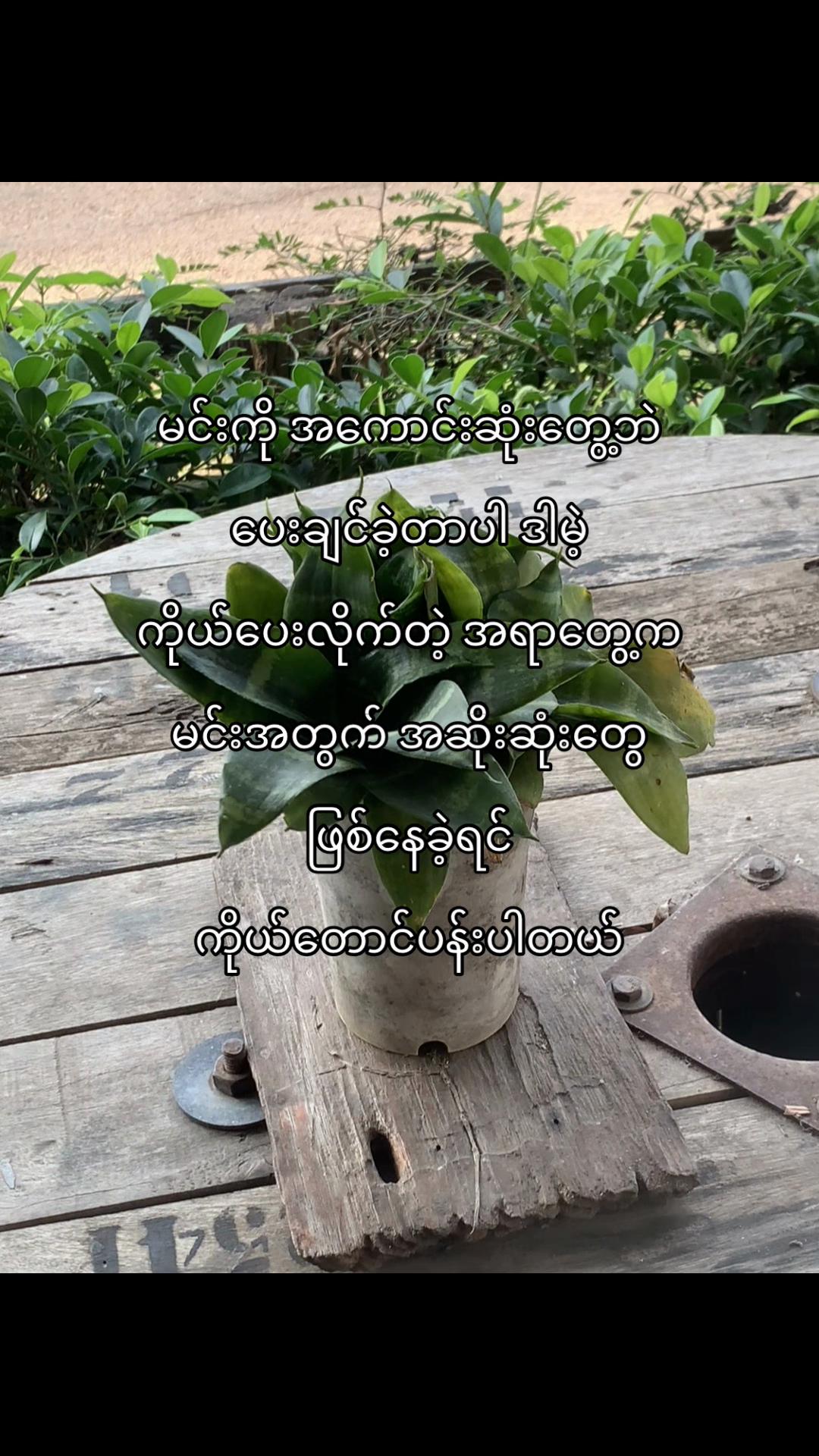 @𝓚☘️
