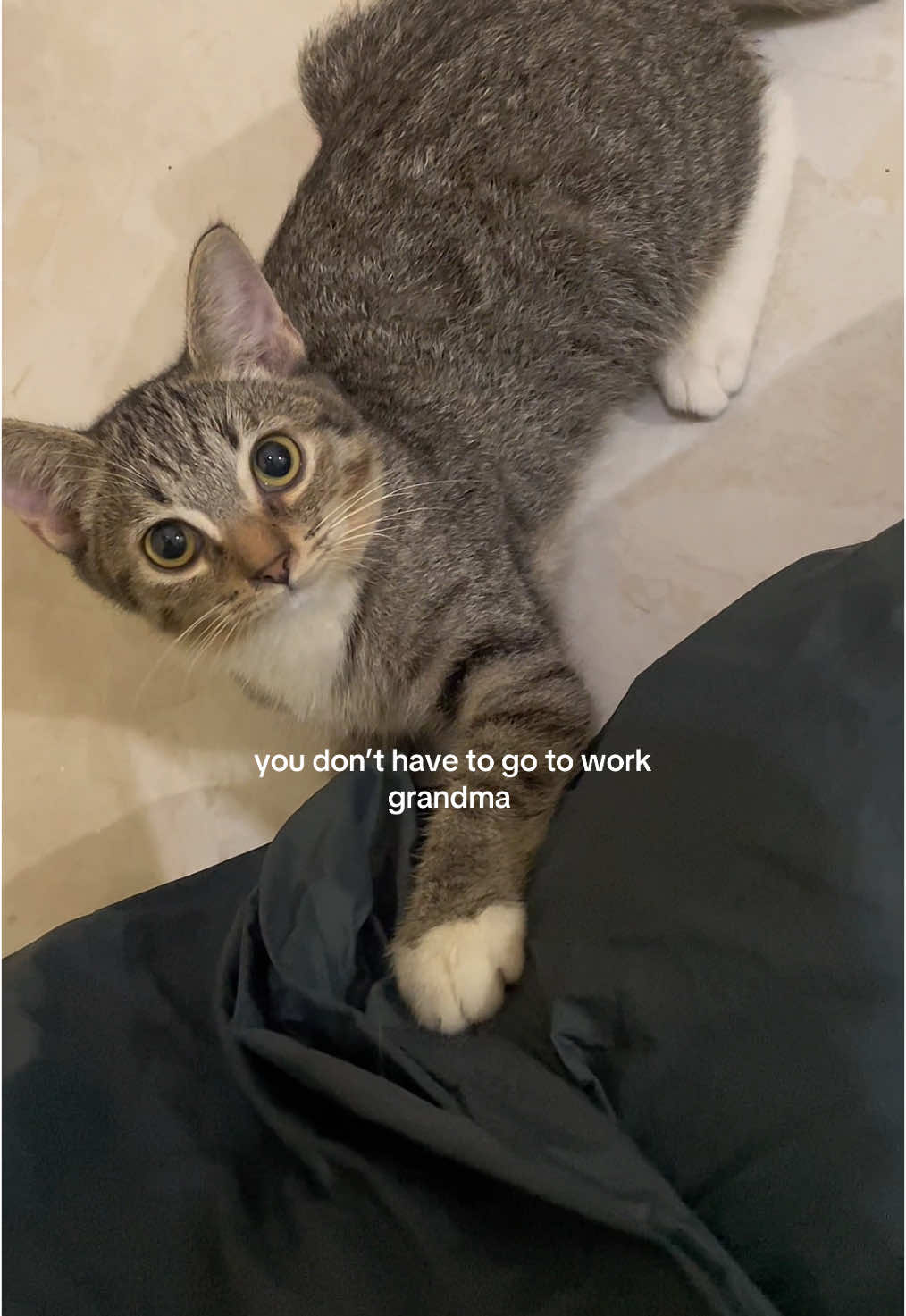 @three_muscateers