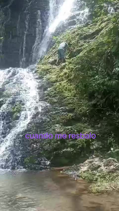 @filinho 23