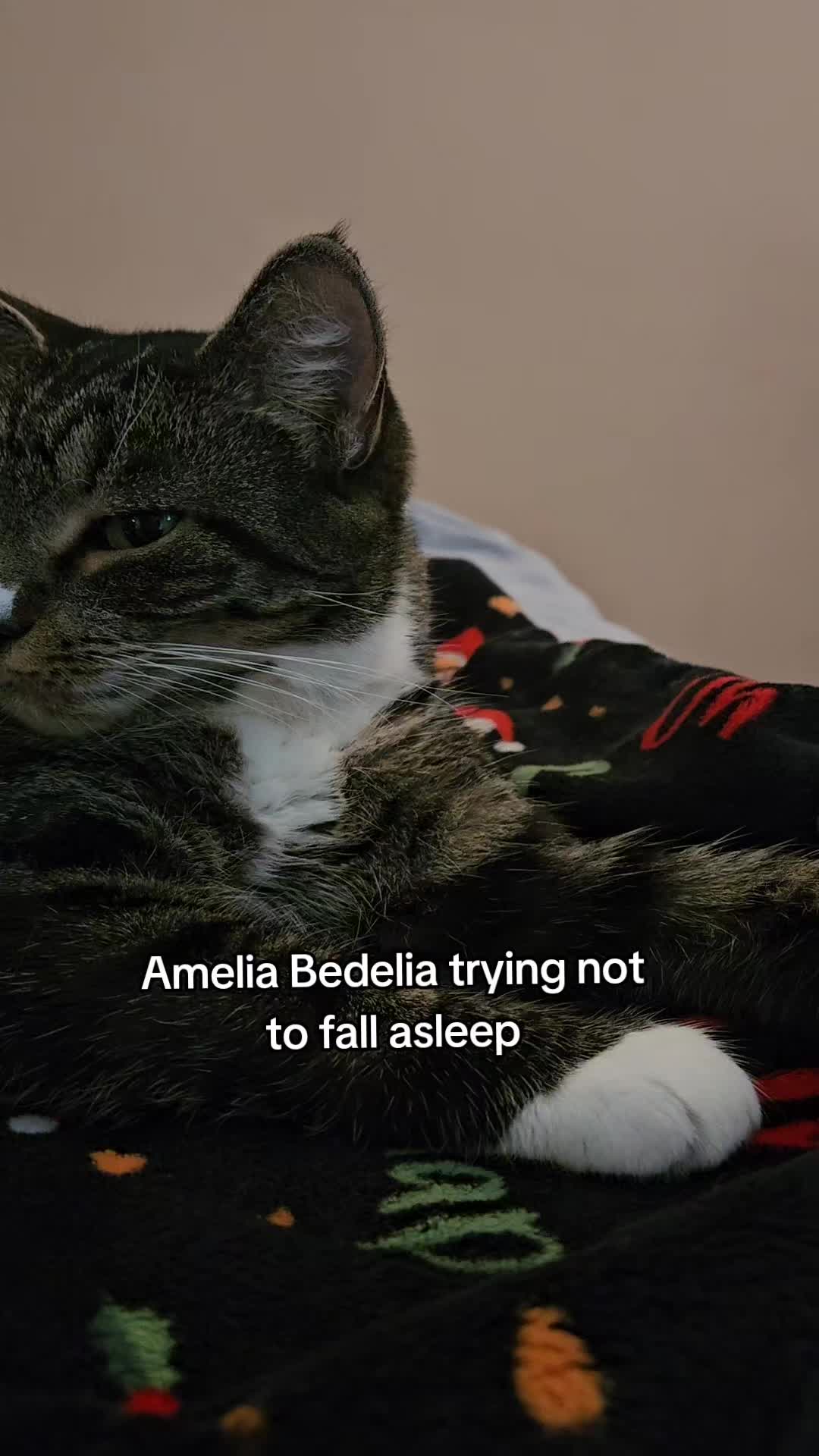 @Droobie Doobért